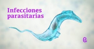 Parásitos